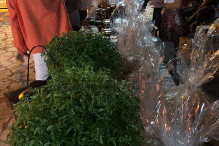 Πανηγύρι 2018